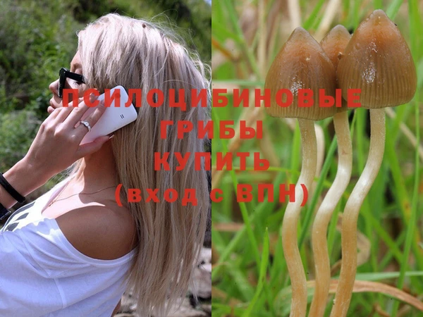 дмт Кукмор