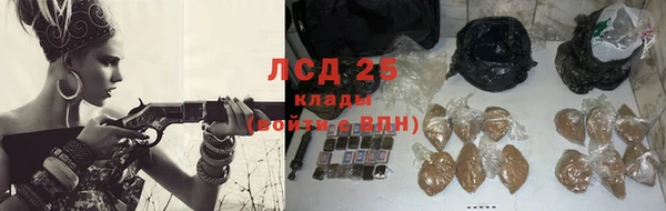индика Болотное