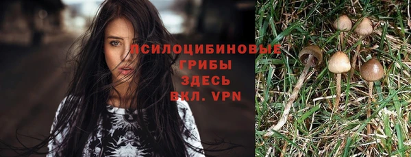 крисы Бутурлиновка