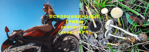 крисы Бутурлиновка