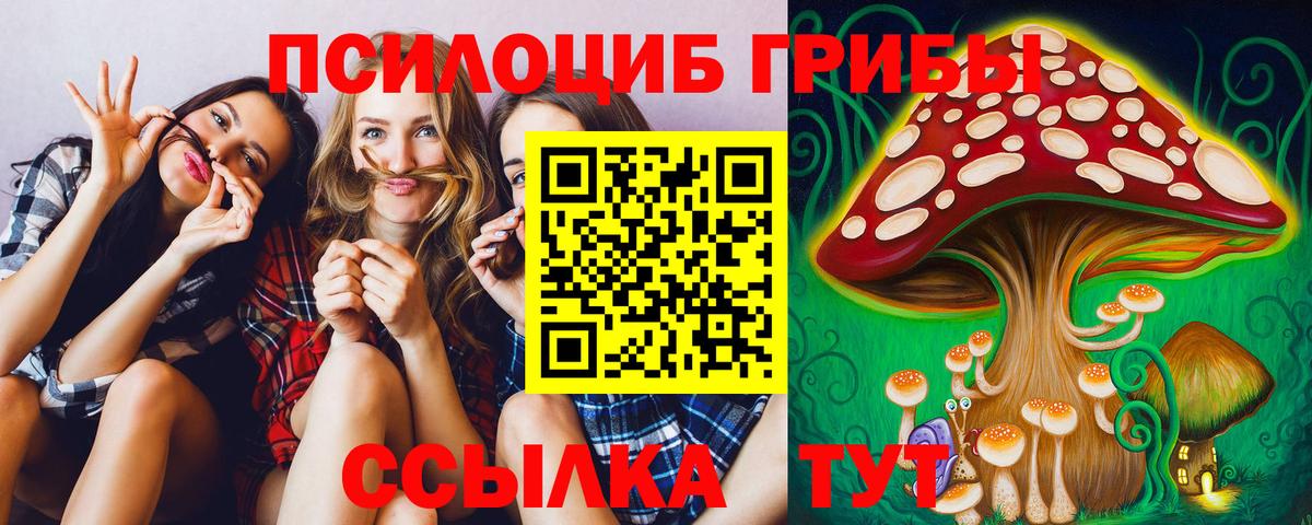 Минусинск  Псилоцибиновые грибы GOLDEN TEACHER  Вход с VPN  Псилоцибиновые грибы мухоморы 