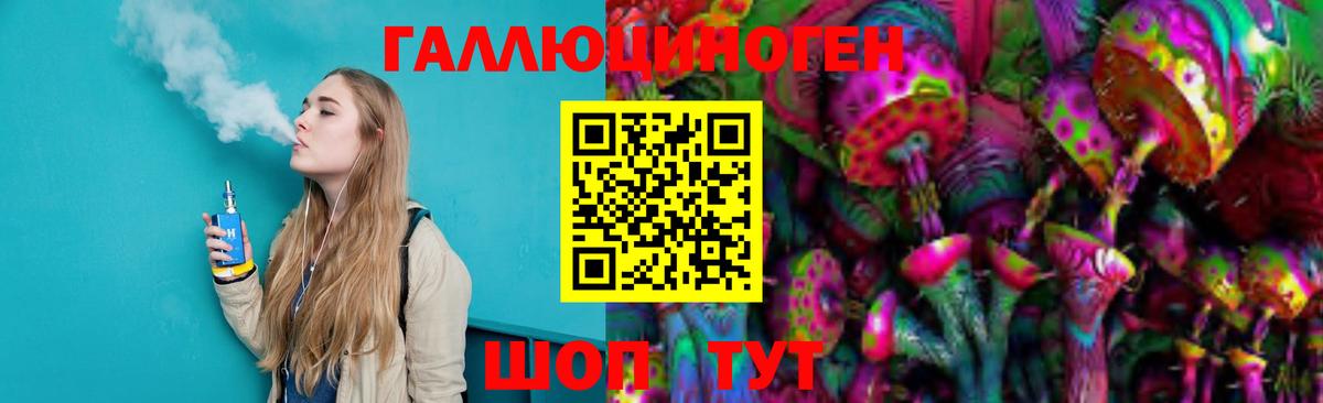 Псилоцибиновые грибы Psilocybe Минусинск