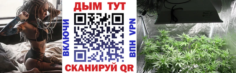 Бошки Шишки Amnesia Минусинск